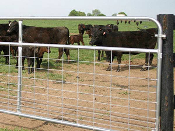 single-swing-corral-gate