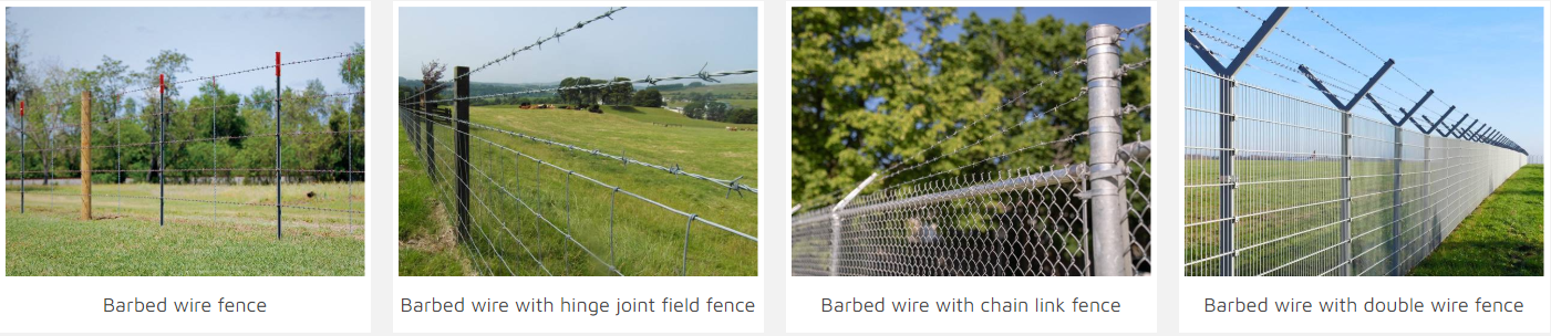 Barbed wire